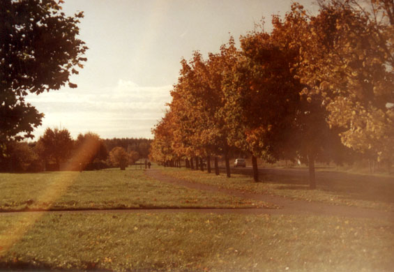 Copyright &copy; Jon Halling